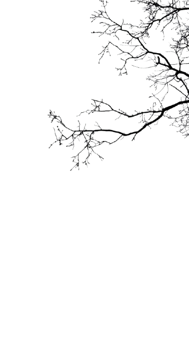 Décoratif