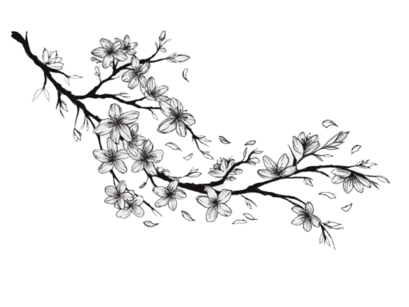 Illustration décorative gauche
